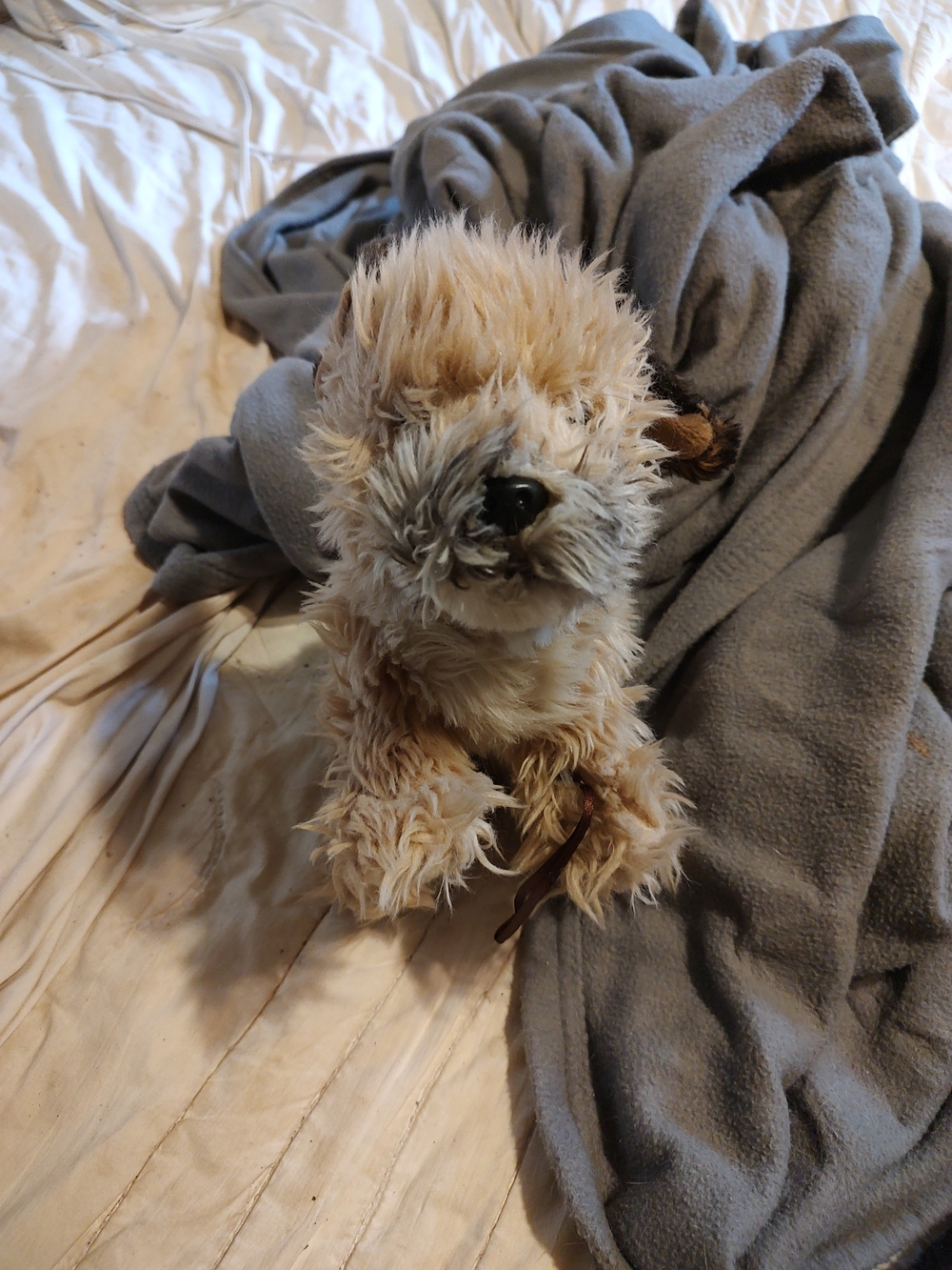 Signature Border Terrier Webkinz